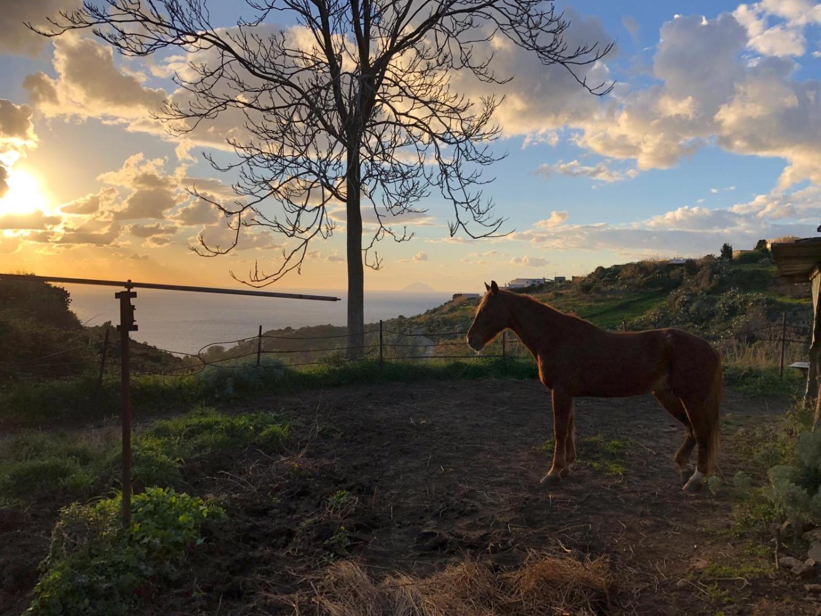 Agriturismo U Zu Peppino リーパリ エクステリア 写真
