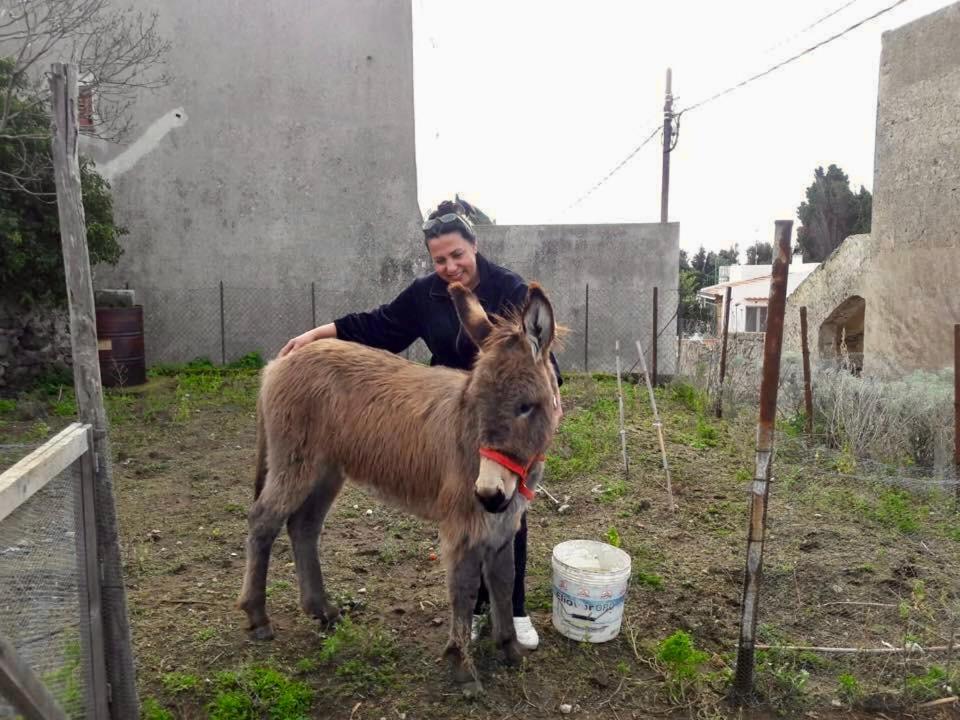 Agriturismo U Zu Peppino リーパリ エクステリア 写真