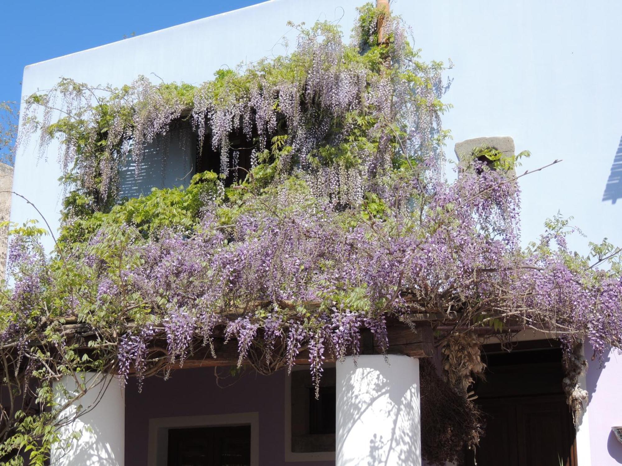 Agriturismo U Zu Peppino リーパリ エクステリア 写真